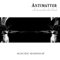 Antimatter - A Dream for the Blind album