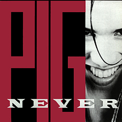 Pig - Never For Fun album