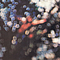 Pink Floyd - Obscured By Clouds album