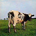 Pink Floyd - Atom Heart Mother альбом