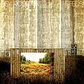 Hey Rosetta! - Seeds (Limited Edition with Booklet) album