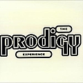 Prodigy - Experience альбом