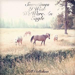 Bill Callahan - Sometimes I Wish We Were an Eagle альбом