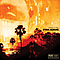 Ryan Adams - Ashes &amp; Fire album