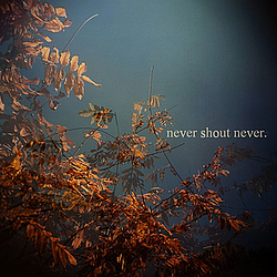 Never Shout Never - Never Shout Never. альбом