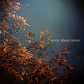 Never Shout Never - Never Shout Never. album