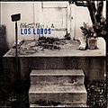 Los Lobos - Just Another Band album