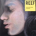 Reef - Come Back Brighter album