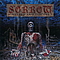 Sorrow - Hatred and Disgust album
