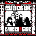 The Gun Club - Larger than live альбом