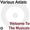 Various Artists - Welcome to the musicals (jesus christ superstar/ chess/ oliver/ chorus line) album
