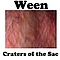 Ween - Craters of the Sac album