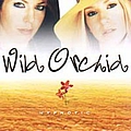 Wild Orchid - Hypnotic album