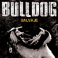 Bulldog - Salvaje альбом