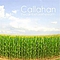 Callahan - The Calm Before The Storm альбом