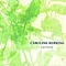 Caroline Herring - Lantana альбом