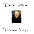 David Wilcox (Canadian) - Thirteen Songs album