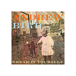 Andrew Bird - Break It Yourself album
