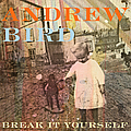 Andrew Bird - Break It Yourself album