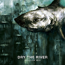 Dry The River - Shallow Bed альбом