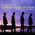 Echo &amp; The Bunnymen - The Very Best Of: More Songs to Learn and Sing альбом