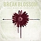 Break Blossom - Last Night of Your Life album