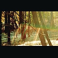 Childish Gambino - Camp (Clean) album
