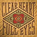 Craig Finn - Clear Heart Full Eyes album