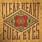 Craig Finn - Clear Heart Full Eyes album