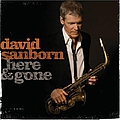 David Sanborn - Here and Gone album