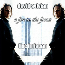 David Sylvian - 2004-04-24: Showa Joshi Hitomi Kinen Kohdoh, Tokyo, Japan (disc 2) альбом