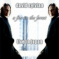 David Sylvian - 2004-04-24: Showa Joshi Hitomi Kinen Kohdoh, Tokyo, Japan (disc 2) album
