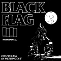 Black Flag - The Process Of Weeding Out album