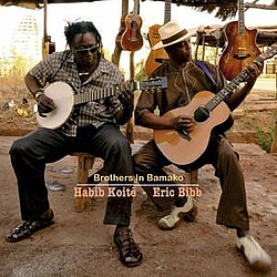 Eric Bibb - Brothers in Bamako album