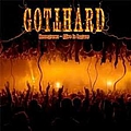 Gotthard - Homegrown album