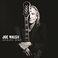 Joe Walsh - Analog Man album