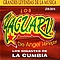 Los Yaguaru - Los Gigantes De La Cumbia, VOL. 1, Disco 1 альбом