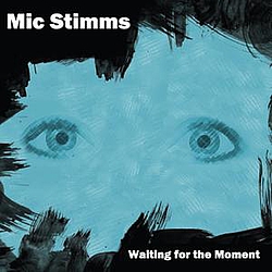 Mic Stimms - Waiting For The Moment album