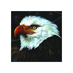Mogwai - The Hawk is Howling альбом