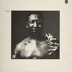 Muddy Waters - After The Rain album