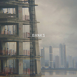 Paul Banks - Banks album