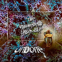 The Psychedelic Ensemble - Undone-single альбом