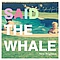 Said The Whale - New Brighton album
