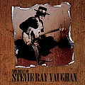 Stevie Ray Vaughan &amp; Double Trouble - The Best Of album