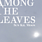 Sun Kil Moon - Among The Leaves альбом