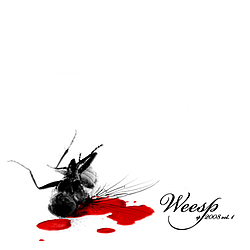 Weesp - EP2008(vol I) album