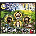 The Sheepdogs - Trying to Grow альбом
