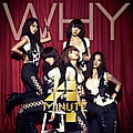 4 Minute - Why альбом