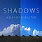 A Day Of Disaster - Shadows альбом