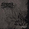 Abyssmal Sorrow - Lament album